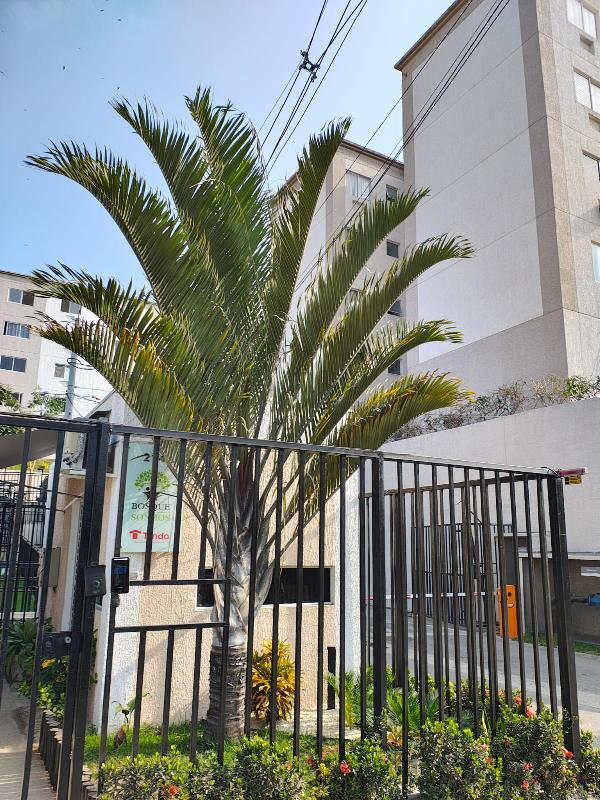 Apartamento - Venda, MONJOLOS, SAO GONCALO, RJ